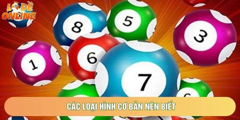 Các loại hình cơ bản nên biết