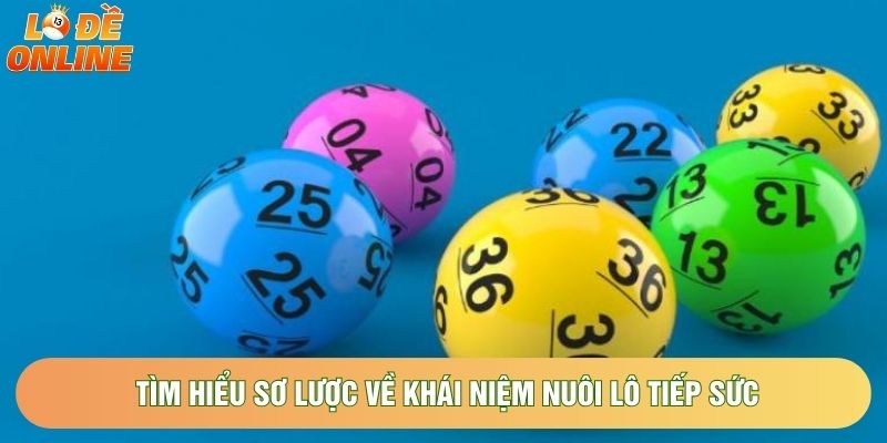 Tìm hiểu sơ lược về khái niệm nuôi lô tiếp sức